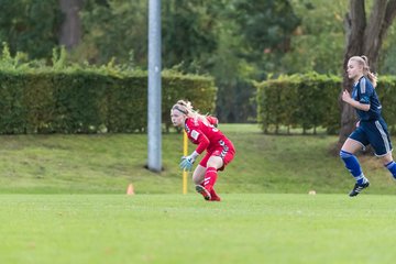 Bild 244 - B-Juniorinnen SV Henstedt Ulzburg - Hamburger SV : Ergebnis: 2:3